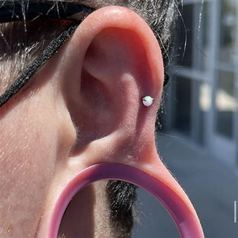 body piercing bakersfield ca|summer piercing packages in bakersfield.